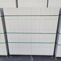 Blocs de béton autoclavés à porosité solide de construction rapide Briques de béton durables et robustes pour une construction efficace