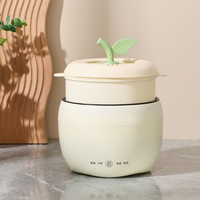 Mini-cuiseur électrique multifonctionnel 1,8 L : poêle électrique, cuiseur à riz, préparateur de bouillie, marmite de cuisson pour la conservation de la santé
