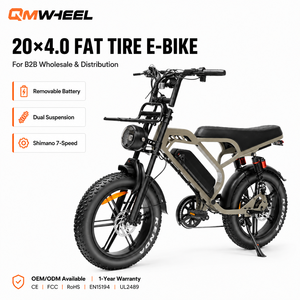 Bicicleta eléctrica de montaña QMWHEEL V20 Limited, 48V, con batería de litio, repuestos y soporte para distribuidores OEM. - Product Image 1