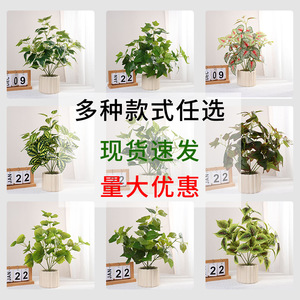 Plante artificielle de lierre vert en pot, petit bouquet, décoration intérieure, matériau PVC/PU - Product Image 5