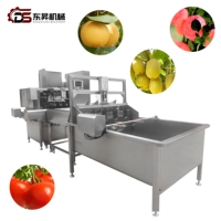 Machine à peler les fruits industrielle en acier inoxydable, usine de transformation des fruits commerciale, éplucheuse de pommes et de poires, machine à éplucher et à retirer le noyau des pommes