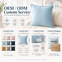 Housse de coussin en velours de couleur unie personnalisée OEM ODM pour la décoration du canapé