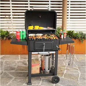 Verstelbare Hoogte Trolley Grill Outdoor Bbq Barbeque Houtskool Barbecue Grills