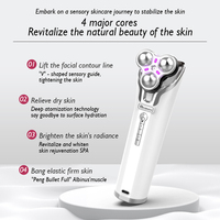 Meiboyi luxe portable haute pression Nano brumisateur Hydra nettoyage injecteur d'oxygène Portable électrique masseur facial Salon