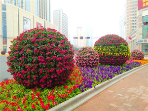 Maceta Grande Gigante de Plástico con Forma de Bola, Maceta para Exteriores, Ecológica y Duradera - Product Image 6