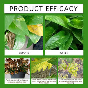 MOONSPRY Hecho en China - Product Image 4