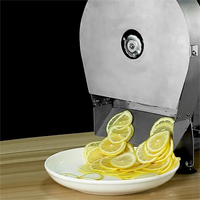 Directe Levering Van Leveranciers Fruitbar Groentesnijmachine Fruitsnijmachine Snijmachine