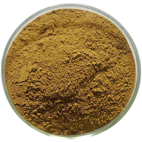 Pur Naturel 4:1 10% Caféine Yerba Mate Thé Concentré Extrait De Champignon Poudre