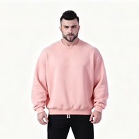 Sweat-shirt à capuche en coton uni de haute qualité, épais, 300 g/m², personnalisable en gros