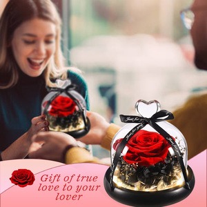Regalo In cupola di vetro con luci a LED Rose eterne rosse per sempre Rose regalo romantico per le donne Rose stabilizzate per la <span class=keywords><strong>festa</strong></span> <span class=keywords><strong>della</strong></span> <span class=keywords><strong>mamma</strong></span> - Product Image 4