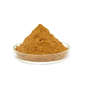 Factory Price Yerba Mate Extract Health Supplement Natural Pure Yerba Mate Extract Powder