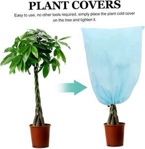 Winter Protection <b>Fleece</b>, <b>Plant</b> Protection, Winter for Trees, Palm Trees, Balcony <b>Plants</b>, Hood, Beige - Product Image 5