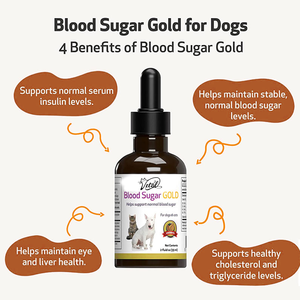 OEM ODM, добавка сахара в крови для домашних животных, золотистые жидкие капли, иммунная поддержка, здоровье собак, пробиотики с витаминами и минералами - Product Image 5