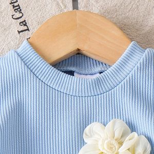 Completo Estivo per Bambine: T-shirt <span class=keywords><strong>Blu</strong></span> a Maniche Corte e Pantaloncini, Abbigliamento per Bambine all'Ingrosso - Product Image 4