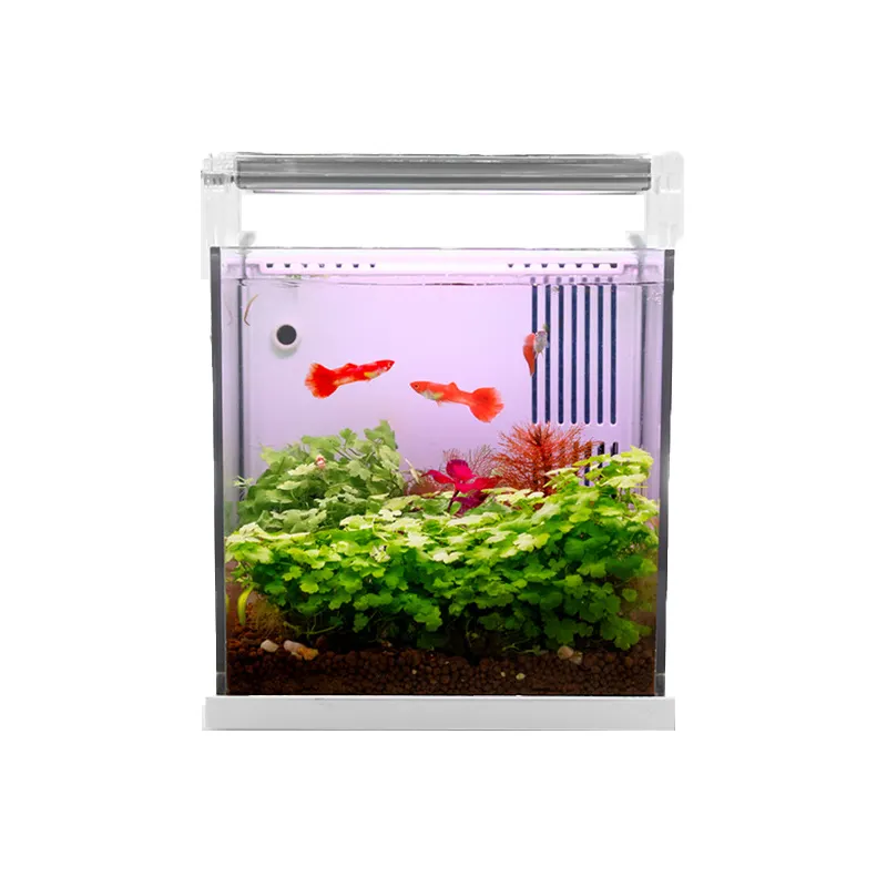 hot sale Aquarium Fish Tank Office home desktop mini small fish tank with light filter pump Aquariums & Accessories