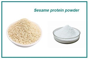 Concentrado de Proteína de Sésamo Prensado en Frío, Proteína Vegetal Cruda Sin Alérgenos para Dieta Keto y Suplementos, Suministro a Granel - Product Image 3