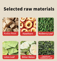 Sachets de thé aux feuilles de mûrier et au melon amer, sans sucre, directement de l'usine, pour la santé et le bien-être, pour réduire la glycémie