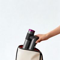 Sèche-cheveux professionnel, appareil de soin et de coiffage des cheveux pour équipement de salon de beauté
