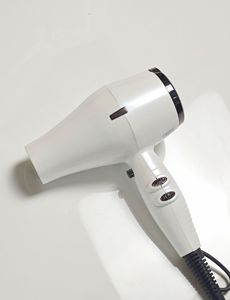 Professional Salon &amp; Hotel Use Ionic Hair <strong>Dryer</strong> 2000W AC Motor Compact Design - Product Image 5