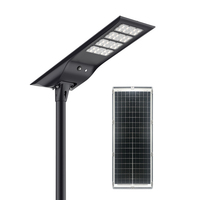 Farola Solar Integrada de 20W 30W 40W con Carga MPPT, Clasificación IP65, Construcción de Aluminio Fundido a Presión para Uso en Carreteras