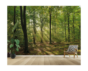 Custom Size Misty Green Rainforest Wall Mural - Removable Self-Adhesive Wallpaper, Sunlit Jungle Scene