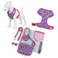 Ensemble de laisse de collier de chien en polyester de luxe MIDEPET motif de LOGO personnalisé et accessoires personnalisés pour animaux de compagnie du nouvel an et de la Saint-Valentin