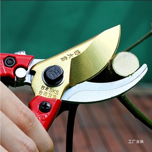 Taiwan Made Bypass <b>Pruner</b> Carbon Steel 20-30 Mm For Tree Flower Fruit Gardening - Product Image 1