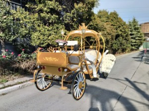 Carruaje de Cenicienta con Diseño de Calabaza, Último Modelo, Elegante, para Bodas, Color Personalizado, Estructura de Acero con Certificación CE, Gran Venta - Product Image 3