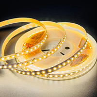Bande LED CCT en promotion, DC12V 24V SMD 2835 240 LED/m IP20, largeur 10mm, PCB cuivre, 10W, rouleau de 10m, 3000K+6000K, bandes LED intelligentes