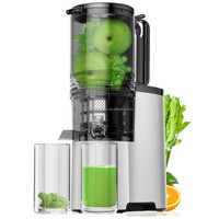 Gemakkelijk te reinigen slowjuicer voor pure sap, koude pers, professionele sapcentrifuge, fruitpers, koude pers sapcentrifuge