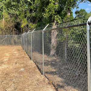 Cerca de hierro tejido galvanizado Cerca de eslabones de cadena recubierta de PVC fácilmente ensamblada para la venta Cerca de ciclón Enrejado/Puerta Tipo de producto - Product Image 2