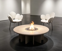 Table de feu circulaire moderne au gaz naturel pour l'extérieur, idéale pour les espaces ensoleillés, les terrasses et les jardins