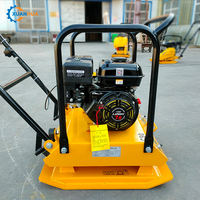 Compacteur de sol manuel / Compacteur à plaque vibrante pour sable et routes, et plaques Whacker à vendre