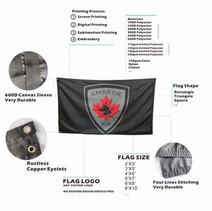 Drapeau personnalisé 2026 en polyester 3x5 avec logo, impression numérique double face, œillets pour publicité, promotion, football, sport - Product Image 2