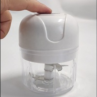 Meilleures ventes Mini mixeur multifonctionnel domestique Petit hachoir à viande avec chargement USB