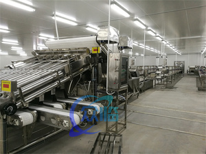 Stainless Steel 304 Roller Fish Sorter <strong>Croaker</strong> Grader Zolim Sardine Sorting Machine Mackerel Grader Small Fish Sizing Machine - Product Image 3