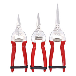 Nice <b>Pruning</b> Shears Stainless Steel Straight Head Garden <b>Tool</b> For Fruit <b>Tree</b> Trimming - Product Image 1