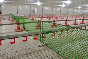 Sistema di Pavimentazione a Griglia in Plastica per Capre e Maiali, Dimensioni 1200-500MM - Product Image 2