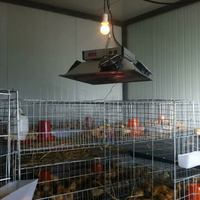 Nouveau chauffe-poussins électrique infrarouge 220V pour élevage avicole et porcin, équipement de chauffage avicole à température contrôlée