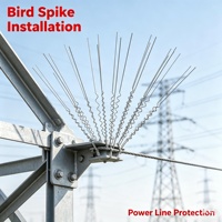 Pointes anti-oiseaux en acier inoxydable Langshuo Modèle 03, taille personnalisée, pour la prévention des oiseaux sur les câbles électriques et les poteaux d'énergie