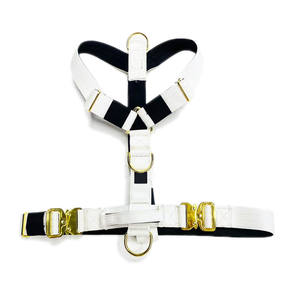 Set Pettorina da Combattimento di Alta Qualità 2024 con Collare e Guinzaglio Morbidi Imbottiti e Regolabili per Cani - Product Image 3