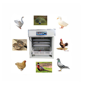 Hot Sale Multifunctional Best Incubator for Chicken Eggs Hatching Incubator with Low Price - Product Image 2