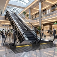 Escaliers mécaniques commerciaux intérieurs ScheinLift au design robuste et moderne, marches en aluminium et acier inoxydable, balustrade en verre trempé, 30 3-6m