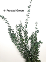 Buket Bunga Eucalyptus Kering Hijau Oranye Tan Hijau Zaitun Frosting untuk Dekorasi Rumah Hari Ibu 70cm