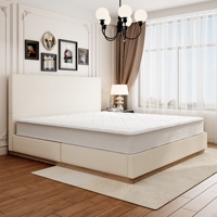 Zeitgenössische Geradlinige Schlafplattform mit Hohem Vertikalem Schirm und Eleganter Vorderkante für Raffinierte Gästezimmer