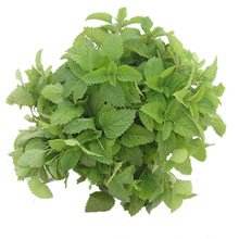 Springjiaレモンバーム葉エキスハーブエキス粉末3% フレーバー5% 10% ロスマリン酸食品グレードボトル入り - Product Image 2