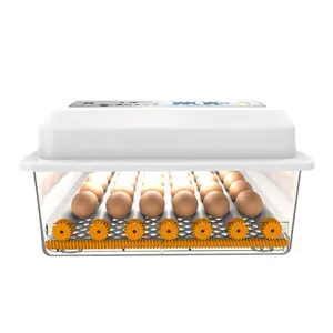 Incubatrice per uova bianche con incubatrice da cova per uova di buona qualità