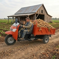 Système de levage pour tricycle diesel, mini-camion de fret, mini-benne lourde 1 tonne, 2 tonnes, 3-5 tonnes