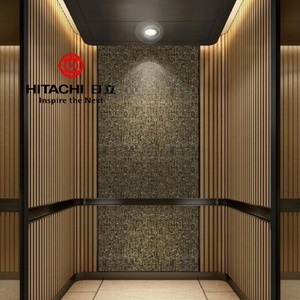 Ascensor Residencial Eléctrico de Alta Calidad, Seguro y a Buen Precio de Fábrica Hitachi - Product Image 6