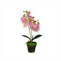 Phalaenopsis Bonsaï Artificiel en Soie – Décoration pour Salon, Table Basse, Entrée, Comptoir de Café